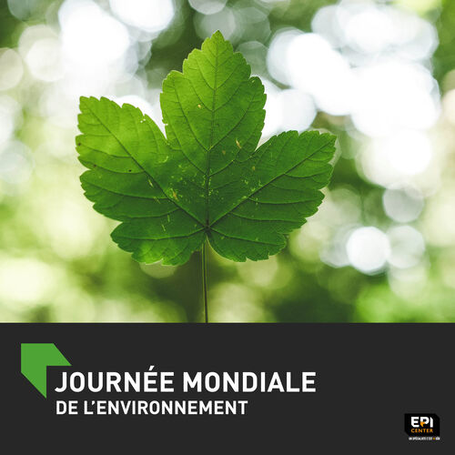 JOURN&Eacute;E MONDIALE DE L'ENVIRONNEMENT