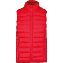 Bodywarmer Homme Doudoune L&eacute;g&egrave;re SENAS