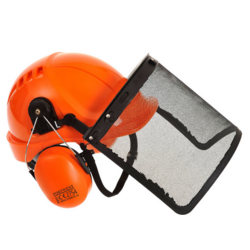 CASQUE FORESTIER